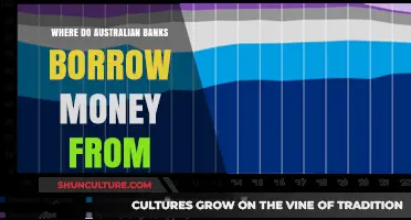 Australian Banks: Who Do They Borrow From?