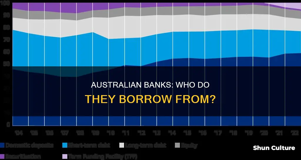 where do australian banks borrow money from