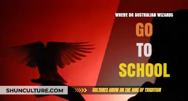 Unveiling Australia's Magical Academy: Where Aussie Wizards Study and Thrive