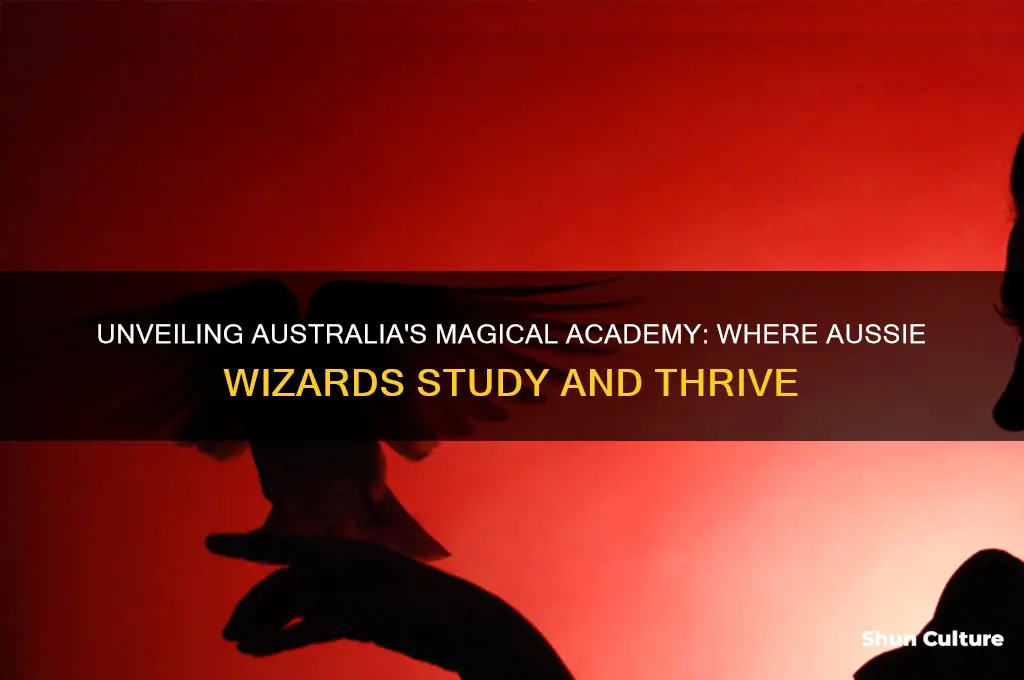 where do australian wizards go to school
