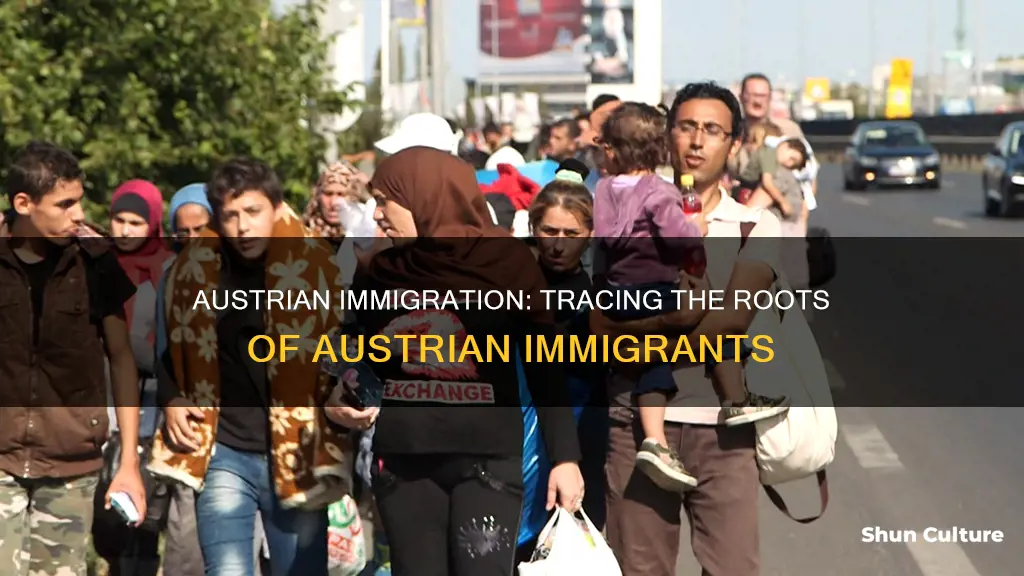where do austrian immigrants come from