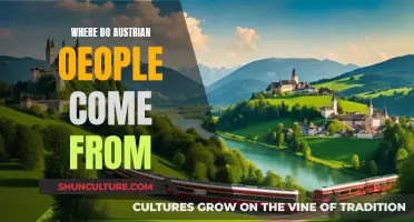 Unraveling Austria's Heritage: A Journey Through History and Culture