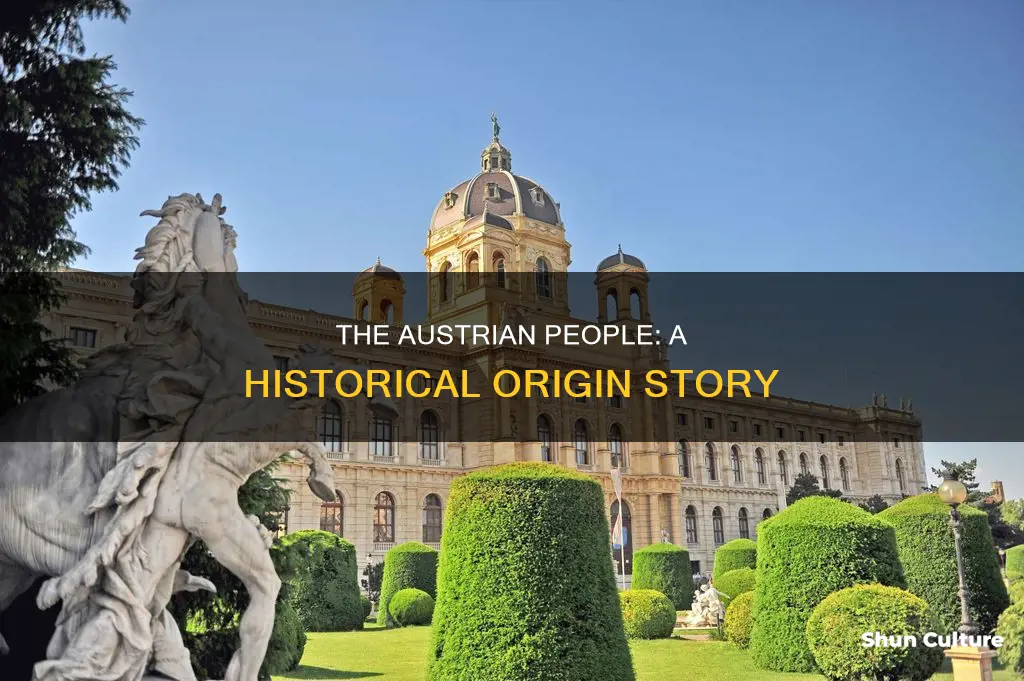 where do austrian oeople come from