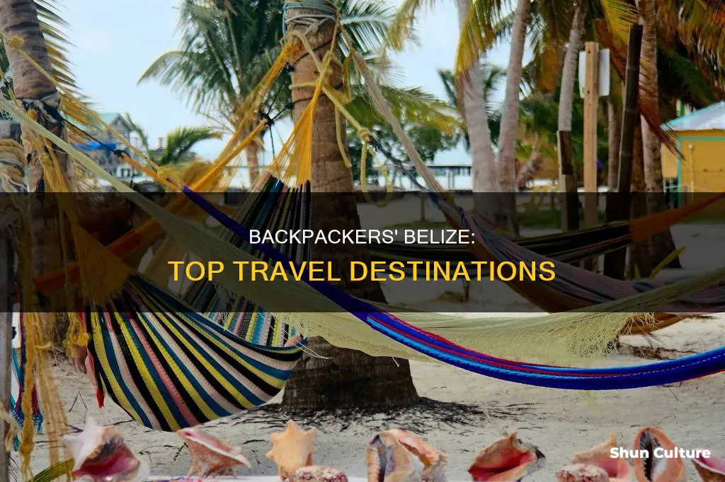 where do backpackers travel to in belize