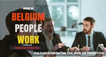 Exploring Employment Opportunities in Belgium: A Comprehensive Guide