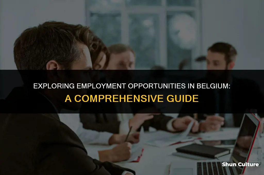 where do belgium people work