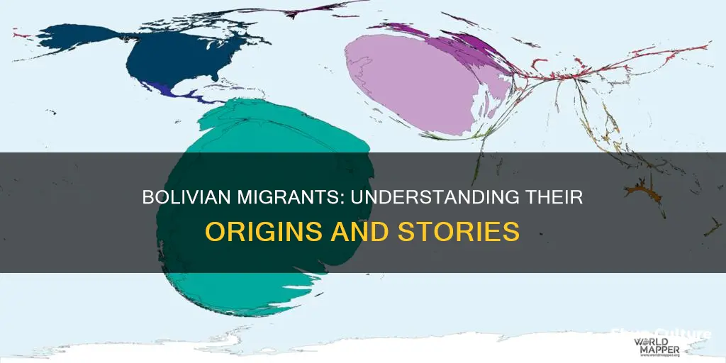 where do bolivian migrants come from