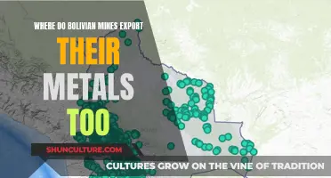 Bolivian Mines: Global Metal Export Destinations