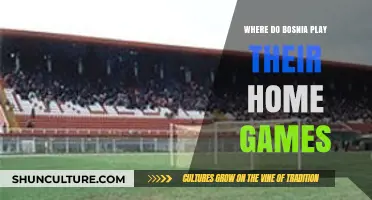 Where Does Bosnia Play Home Games? Stadium Guide for Fans