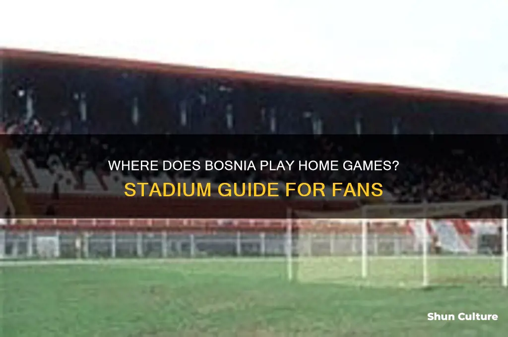 where do bosnia play their home games