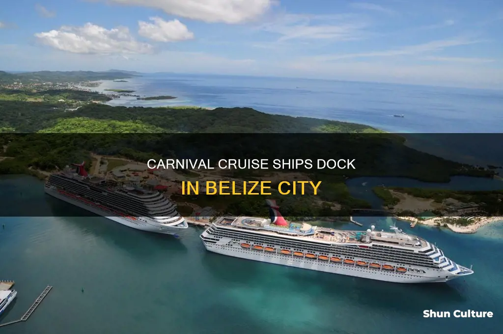 where do carnival ships dock in belize