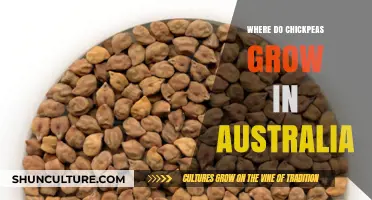 Chickpeas' Cultivation in Australia: Where and How?