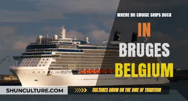Exploring Bruges: A Guide to Cruise Ship Docking Spots in Belgium