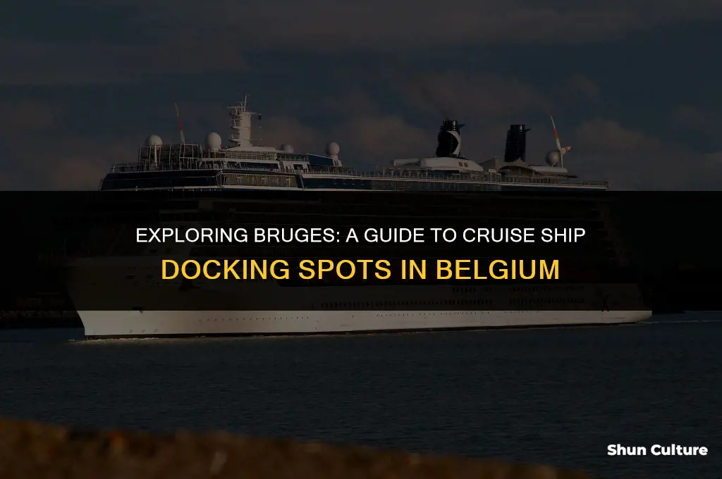 where do cruise ships dock in bruges belgium