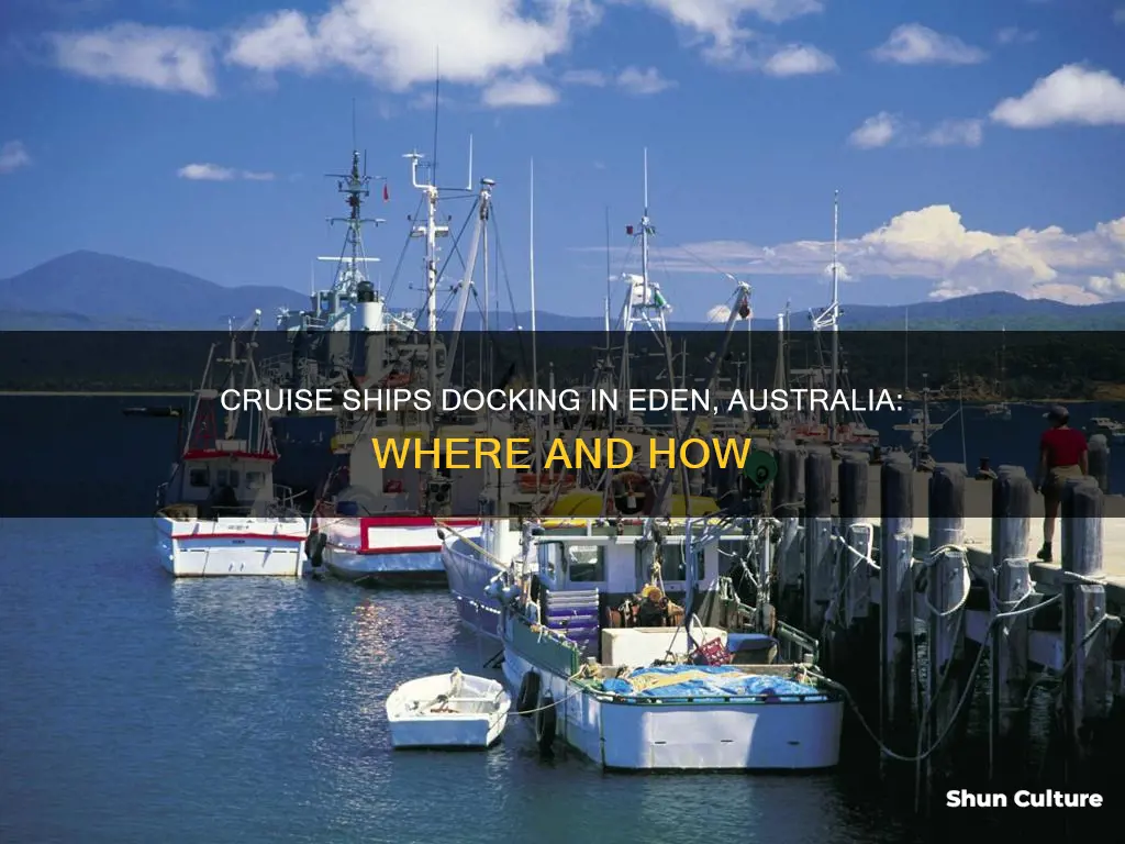 where do cruise ships dock in eden australia