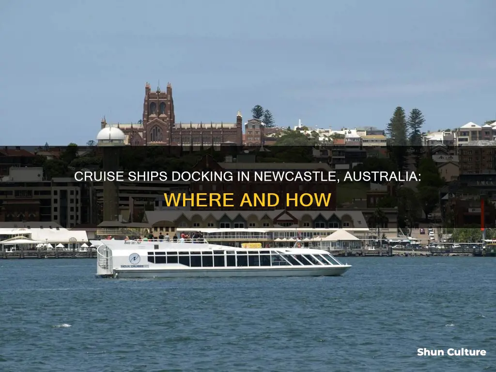 where do cruise ships dock in newcastle australia