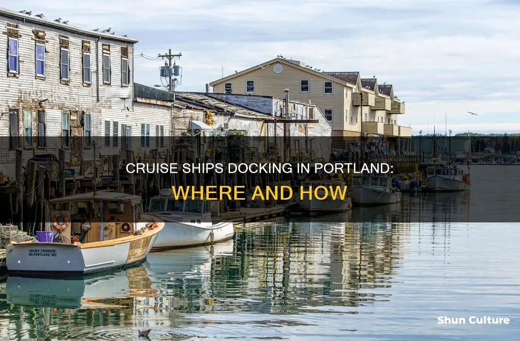where do cruise ships dock in portland australia