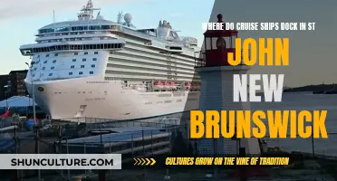 St. John's Waterfront Welcomes Cruise Ships to Historic Port City