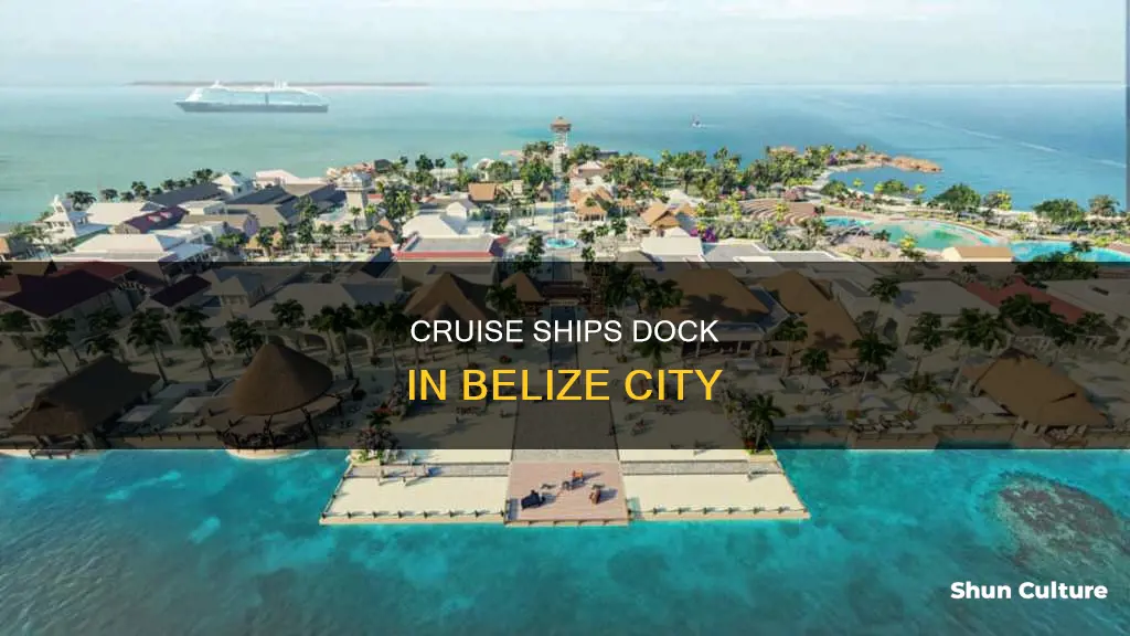 where do cruise ships offload in belize