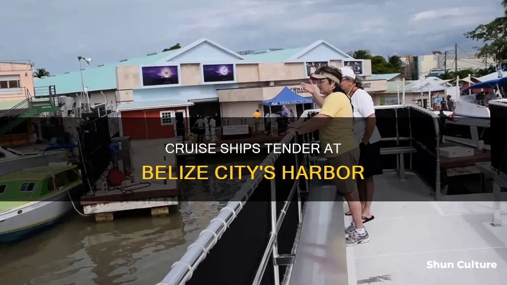 where do cruise ships tender in belize city