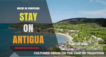 Top European-Friendly Resorts and Hotels on Antigua for a Perfect Stay