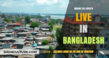 Top Expat-Friendly Neighborhoods in Bangladesh: Where Internationals Call Home