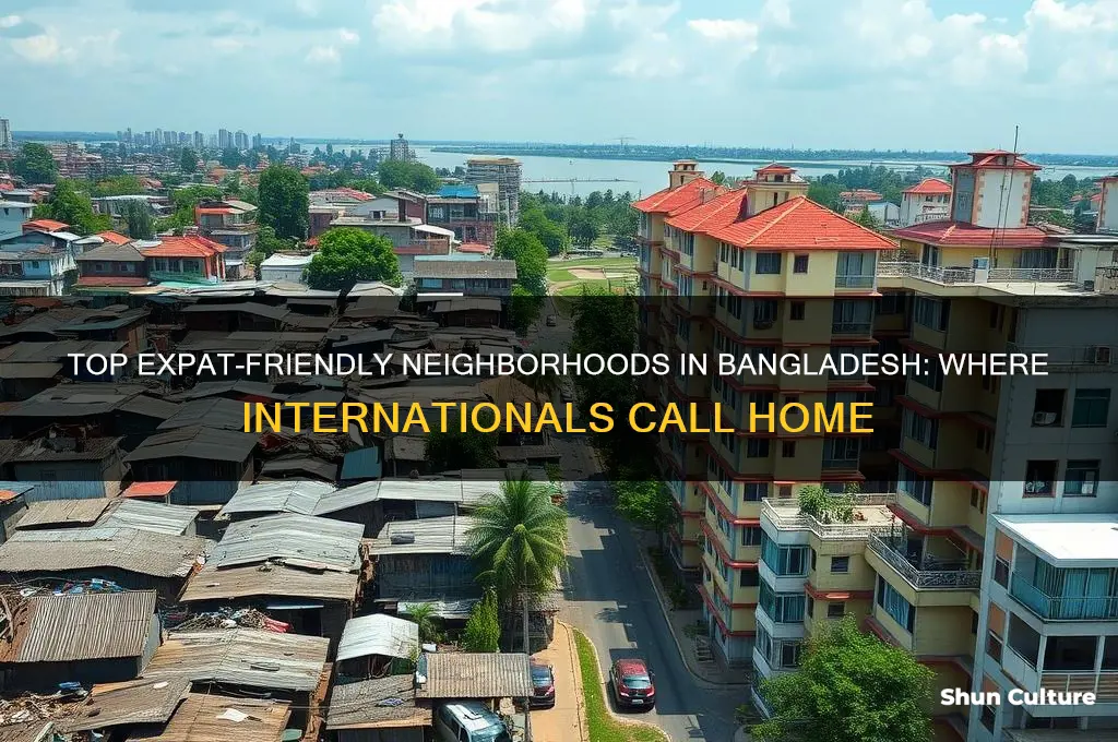 where do expats live in bangladesh