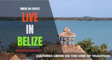 Expat Havens in Belize: Where to Live and Why