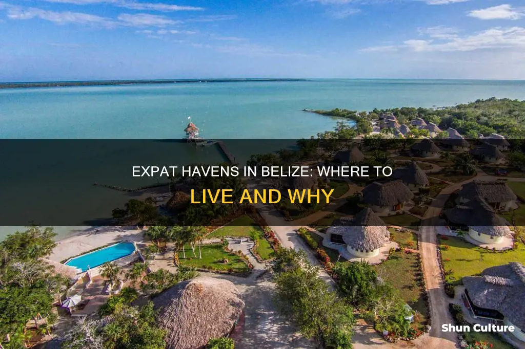 where do expats live in belize