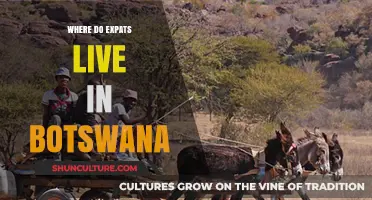 Discovering Botswana: Top Expat-Friendly Areas to Call Home