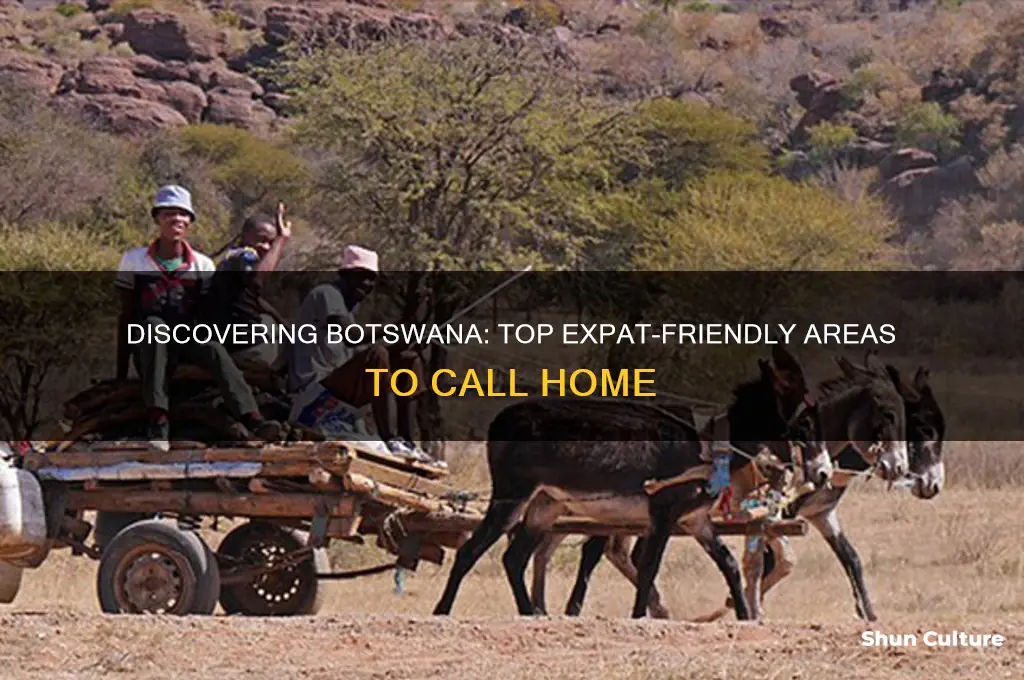 where do expats live in botswana