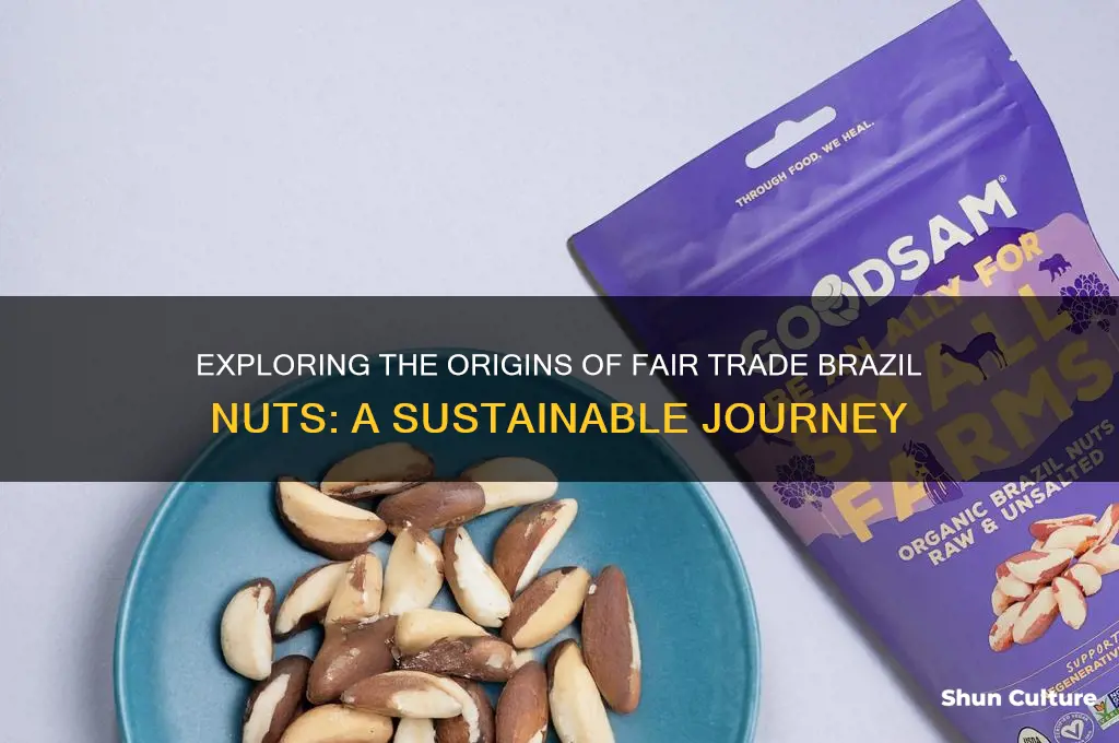 where do fair trade brazil nuts come from