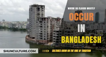 Bangladesh's Flood-Prone Regions: Understanding High-Risk Areas and Causes