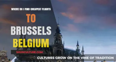 Discover Budget-Friendly Flights to Brussels, Belgium: Your Ultimate Guide