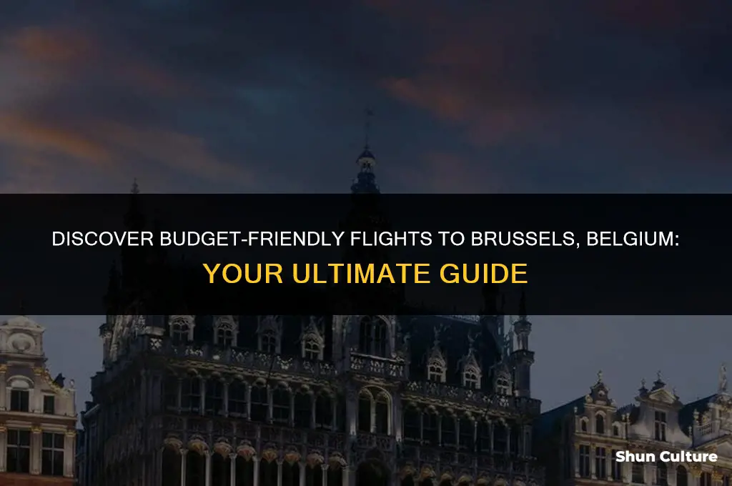 where do I find cheapest flights to brussels belgium