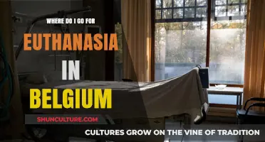 Exploring Euthanasia Options in Belgium: A Comprehensive Guide