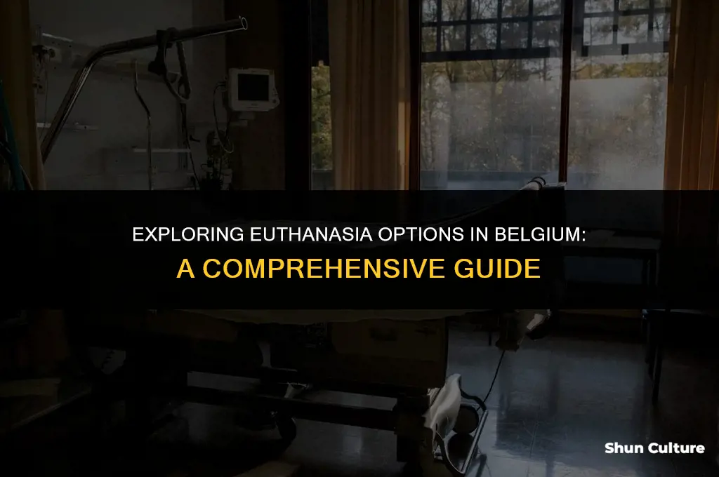 where do I go for euthanasia in belgium