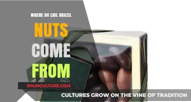 Lidl Brazil Nuts Origin: Tracing the Journey from Forest to Shelf