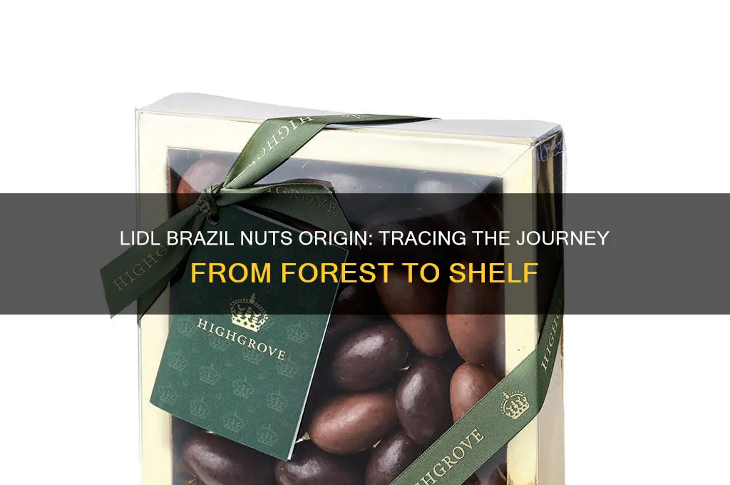 where do lidl brazil nuts come from