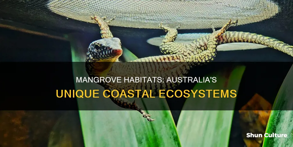 where do mangroves grow in australia