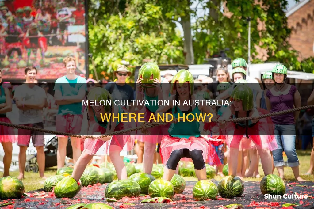 where do melons grow in australia