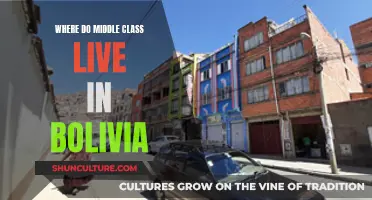 Middle-Class Living: Exploring Bolivia's Residential Enclaves