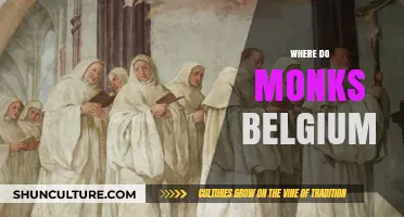 Exploring the Serene World of Monks in Belgium