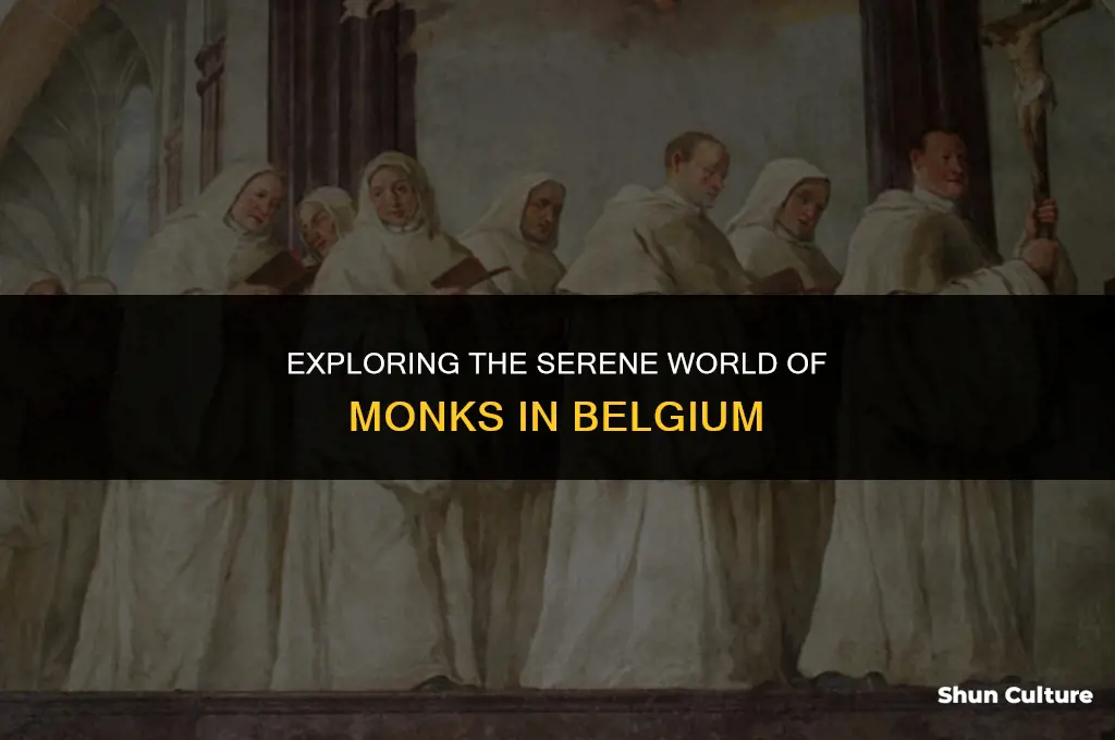 where do monks belgium