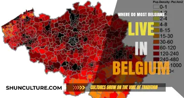 Exploring Belgium: Where the Majority of Belgians Reside