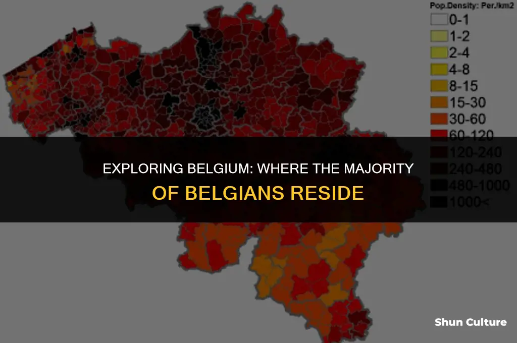 where do most belgians live in belgium