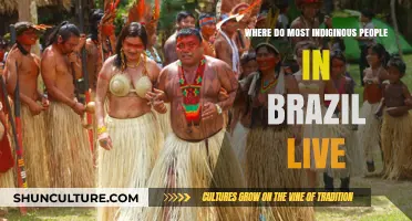Exploring Brazil's Indigenous Communities: Regions Where Most Tribes Reside