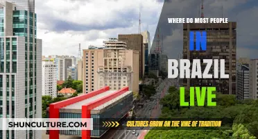Urban Concentration: Where Brazil's Population Resides and Why