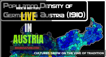 Exploring Austria's Most Populated Regions and Cities