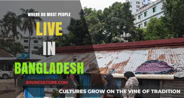 Urban vs. Rural: Where Do Most Bangladeshis Call Home?